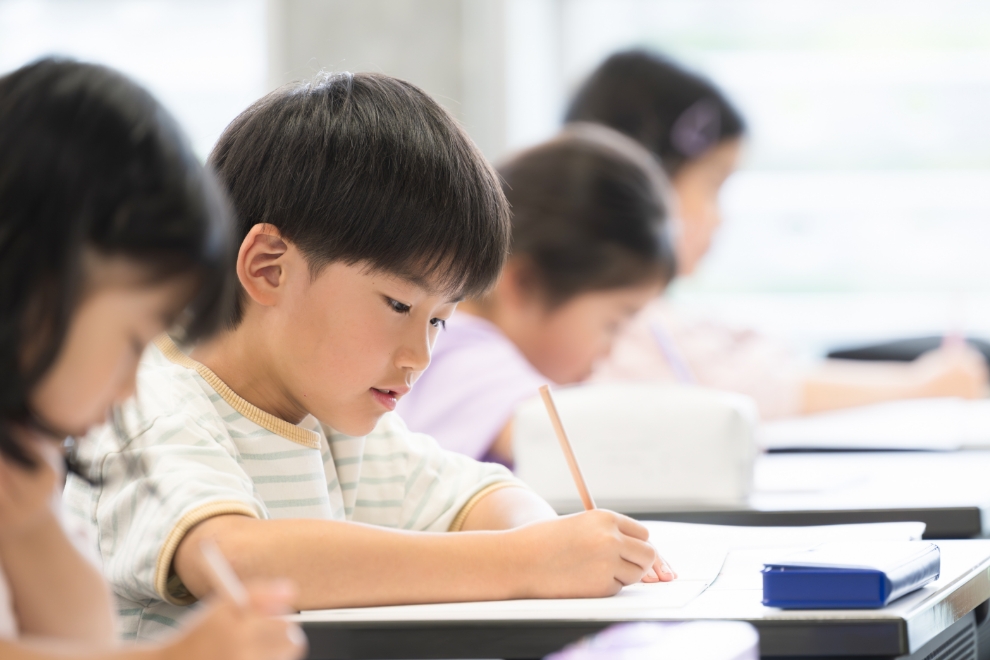 15歳までの革新的な一貫教育プログラム